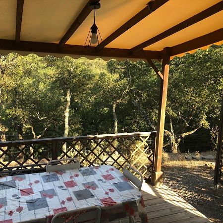 Camping De Parpaillon روكبرون-سور-أرجينس المظهر الخارجي الصورة