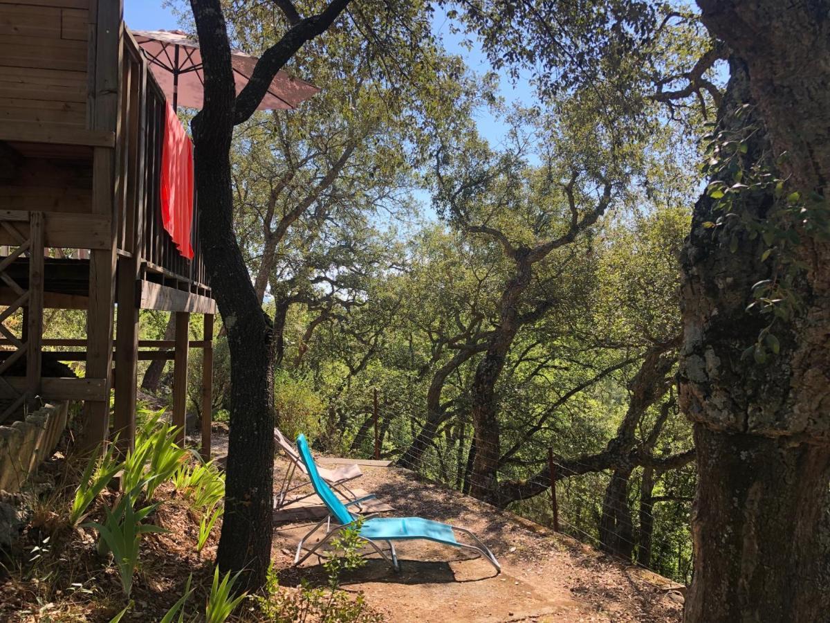 Camping De Parpaillon روكبرون-سور-أرجينس المظهر الخارجي الصورة